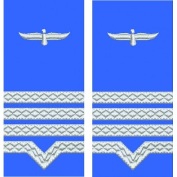 GRADE MAISTRU MILITAR CLASA II FORTE AERIENE